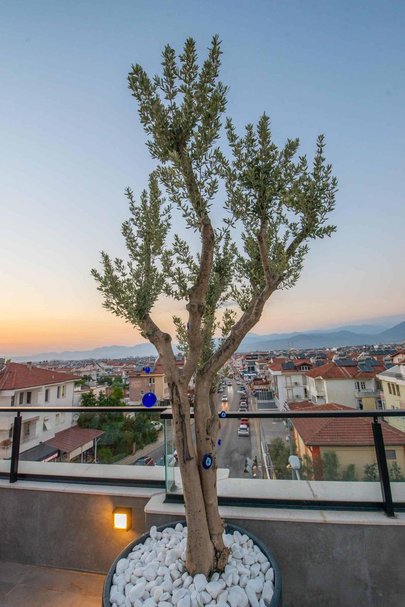 Belci City House Fethiye Exterior foto